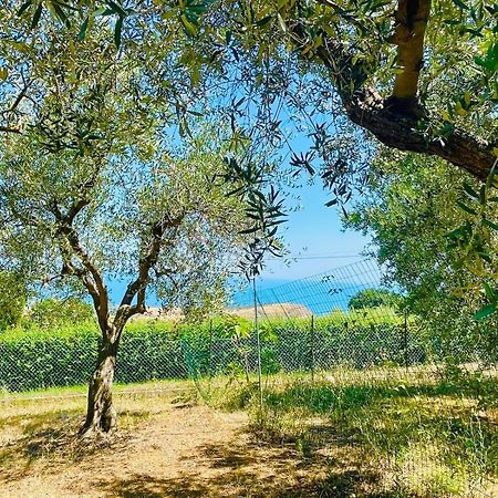 Villa In Collina Vista Mare 로세토데글리아브루찌 외부 사진