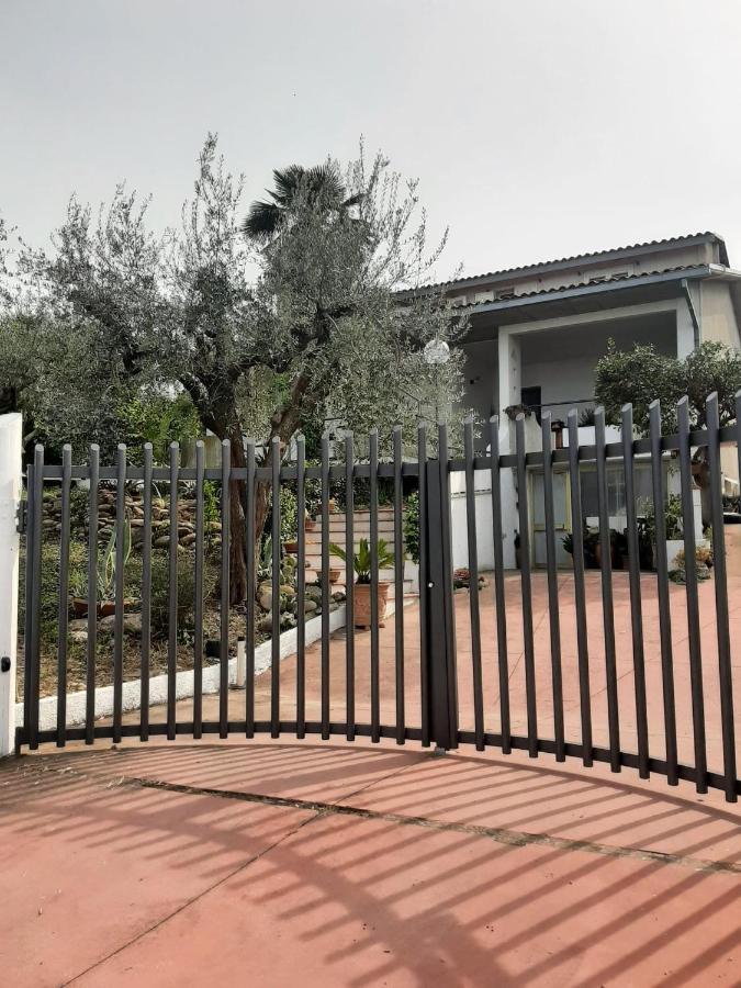 Villa In Collina Vista Mare 로세토데글리아브루찌 외부 사진