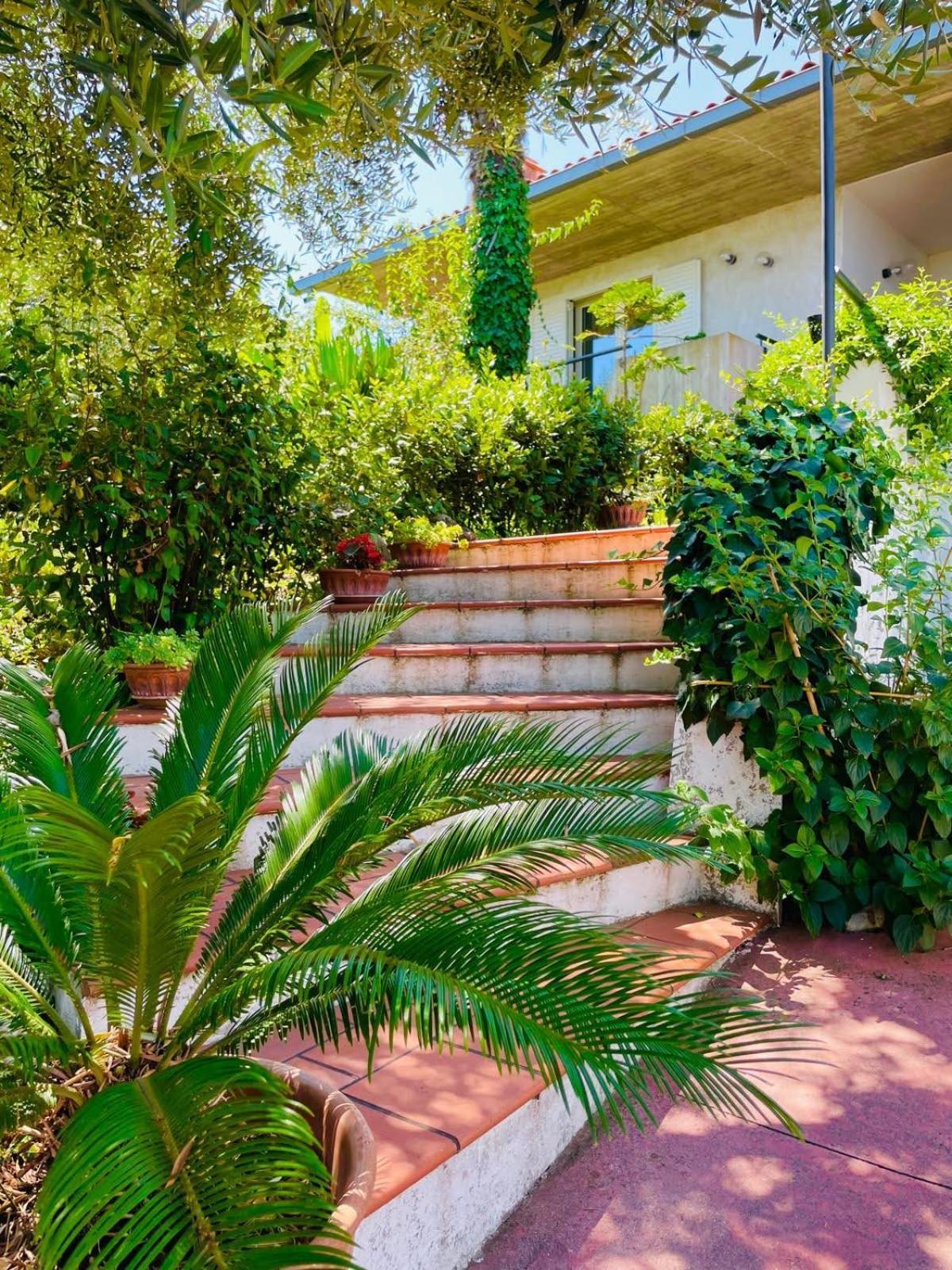 Villa In Collina Vista Mare 로세토데글리아브루찌 외부 사진