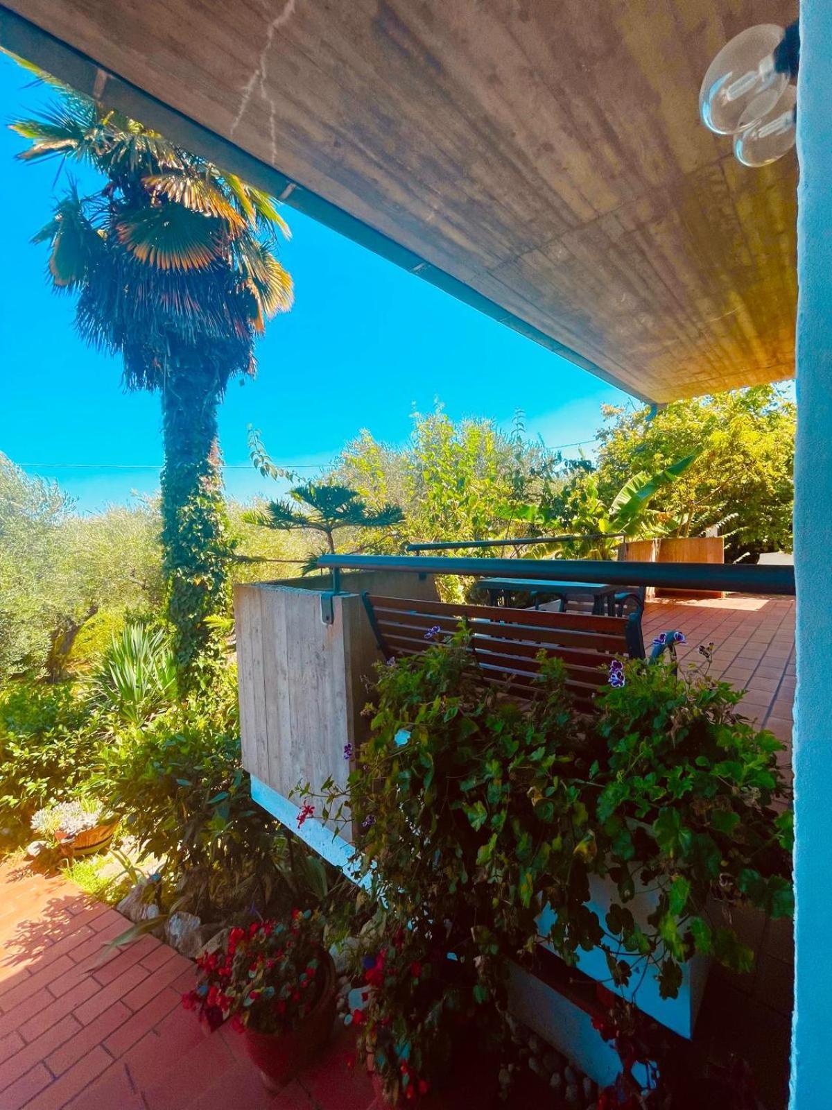 Villa In Collina Vista Mare 로세토데글리아브루찌 외부 사진