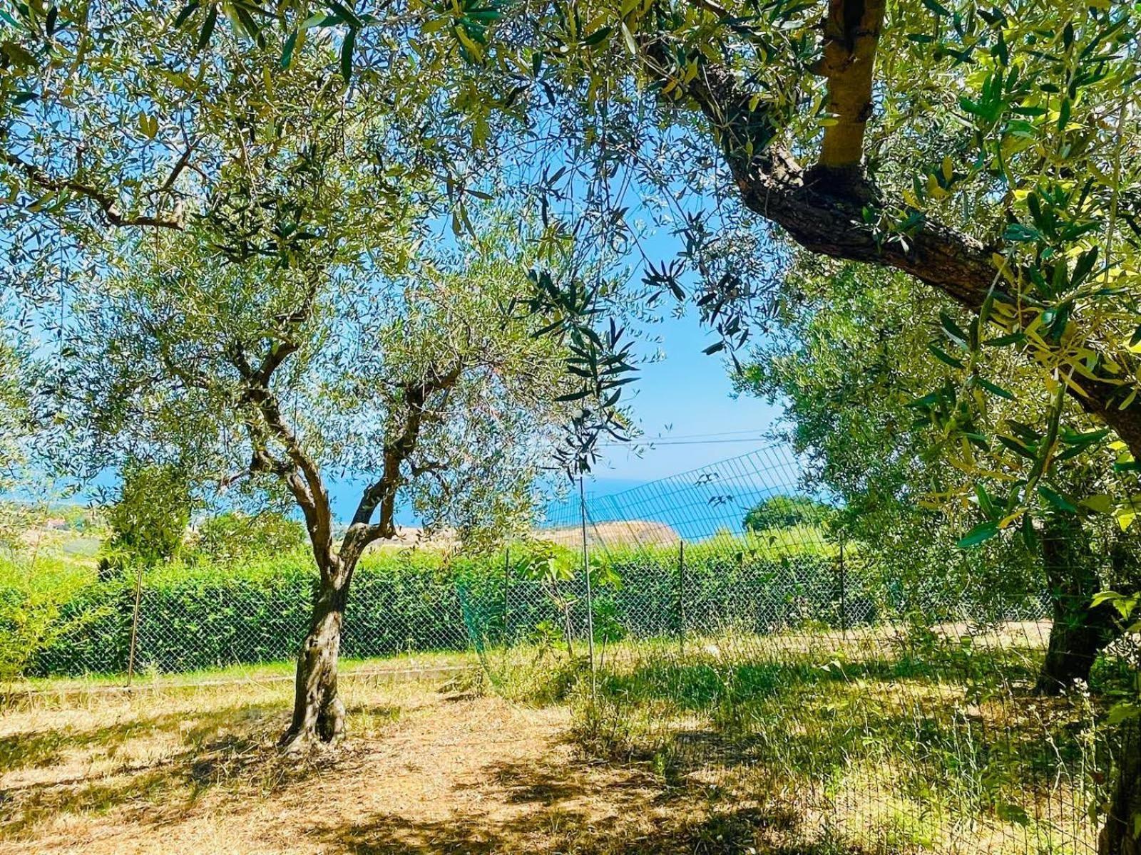 Villa In Collina Vista Mare 로세토데글리아브루찌 외부 사진